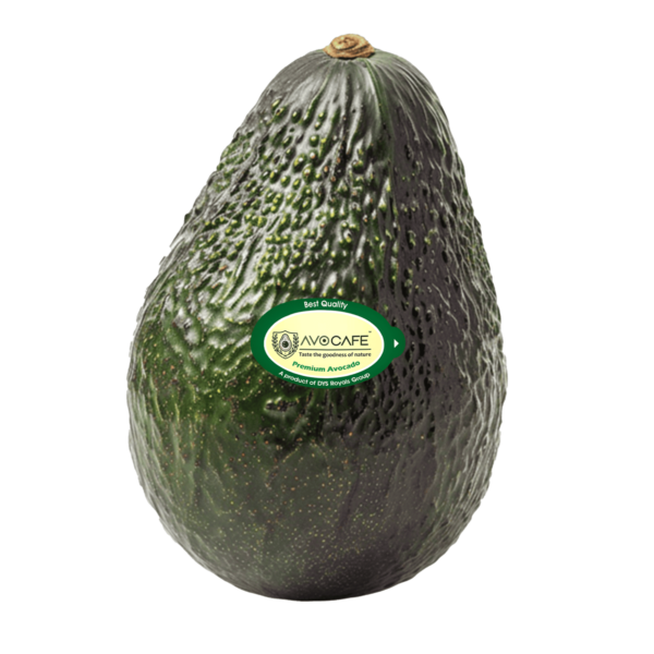 Imported Premium Avocado Hass