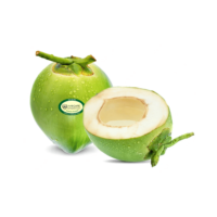 cocunut IMG 109