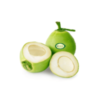cocunut IMG 108