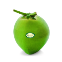 cocunut IMG 106