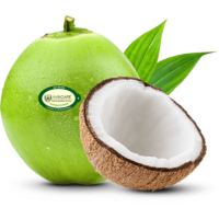 cocunut IMG